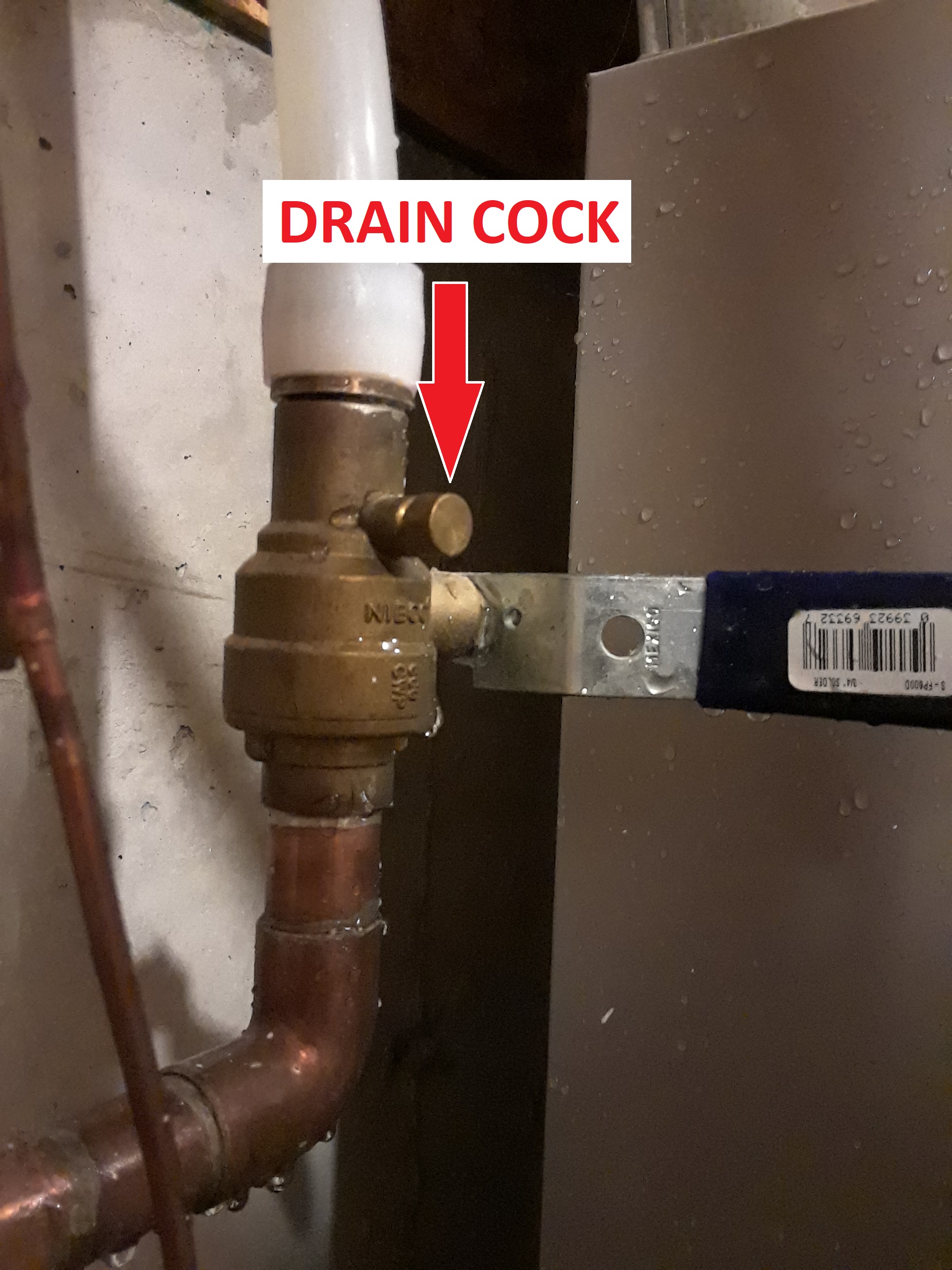 Drain Cock